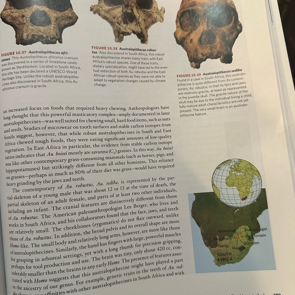 Essentials of Biological Anthropology 4th Ed. Clark Spencer Larsen - Picture 10 of 13